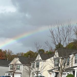 Meet your Posher, Bobbie